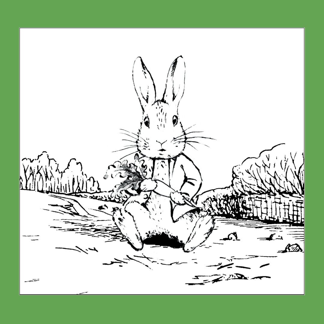 Peter Rabbit Colouring In