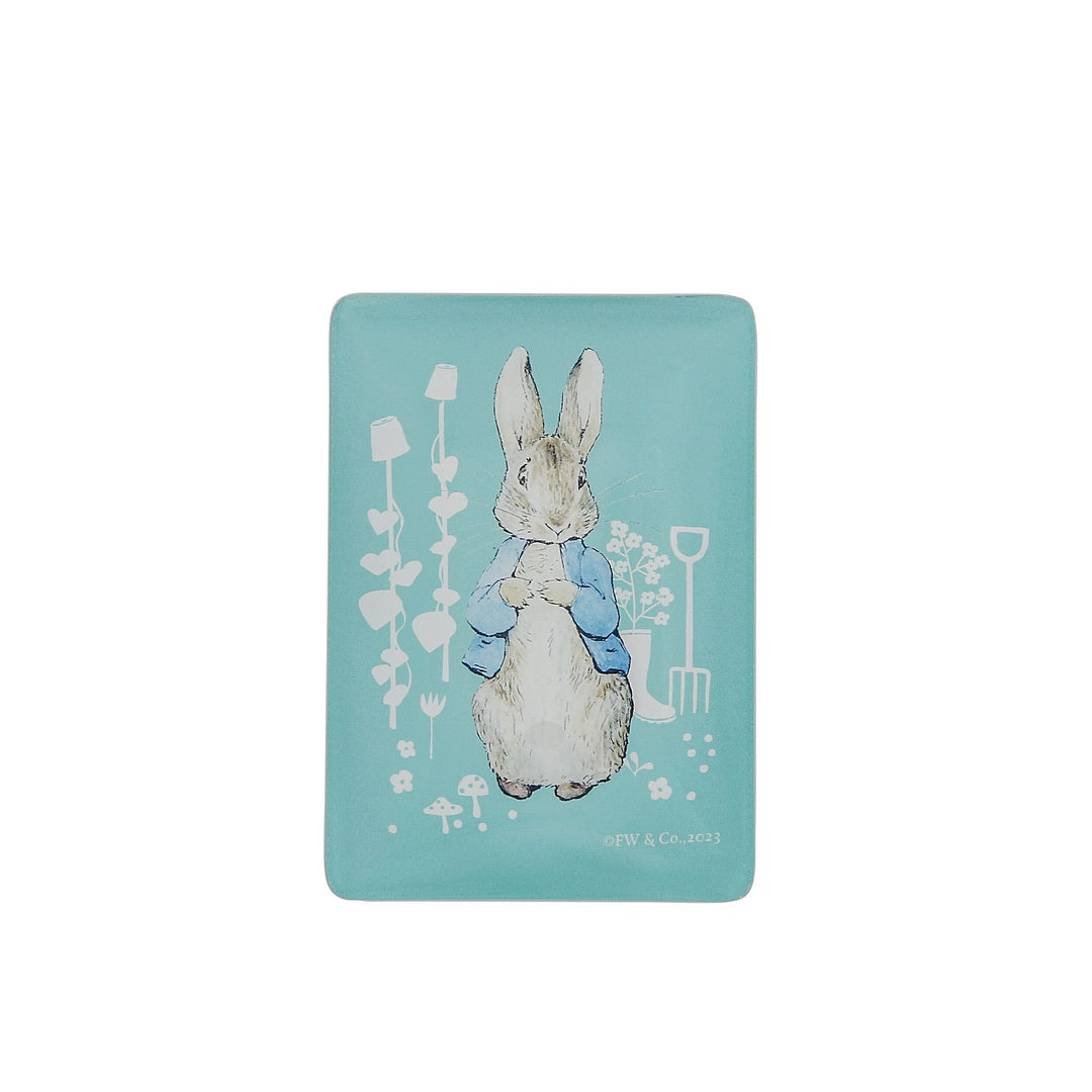 Peter Rabbit Magnet