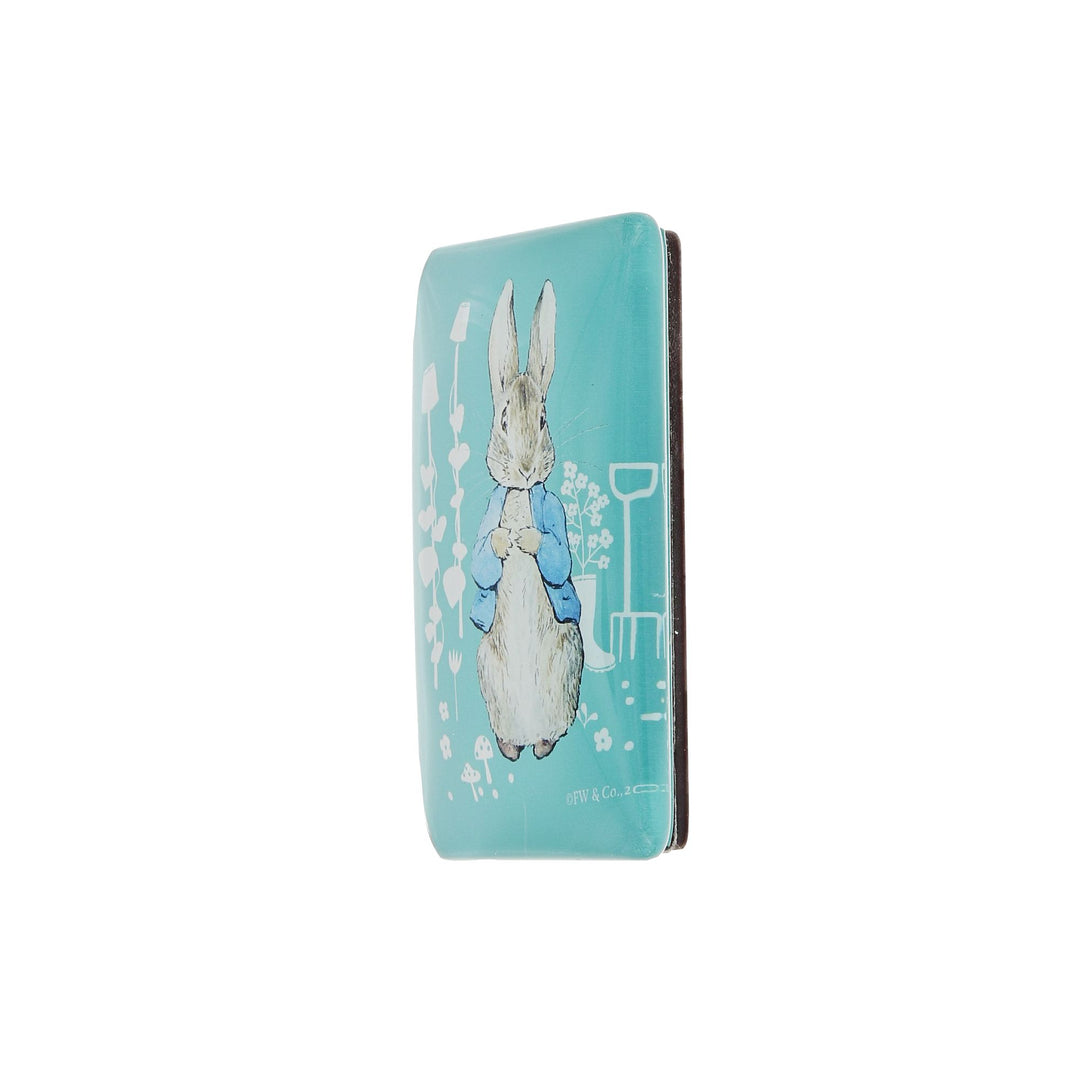 Peter Rabbit Magnet